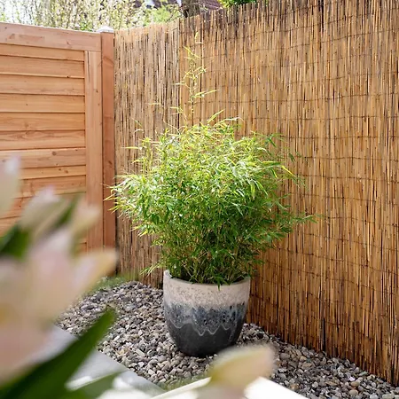 Kas13b Merlina's Appartamento